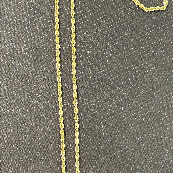 10kt gold chain and charm